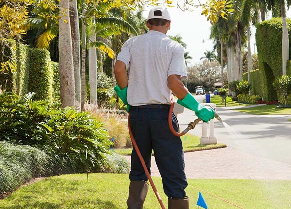 About Claremont VA Pest Control